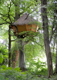 Cabane du Grand Hêtre