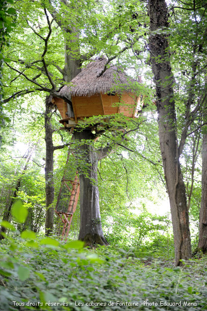 Cabane le grand Hêtre