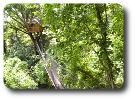 La cabane du Vieux Chêne